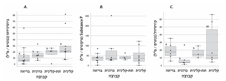 צילום מסך 2026 02 24 171825