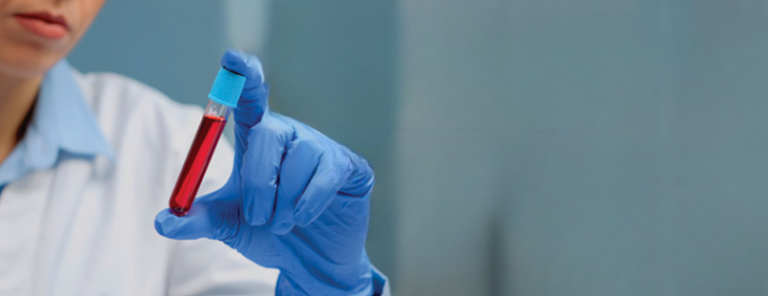 צילום מסך 2026 02 24 172130