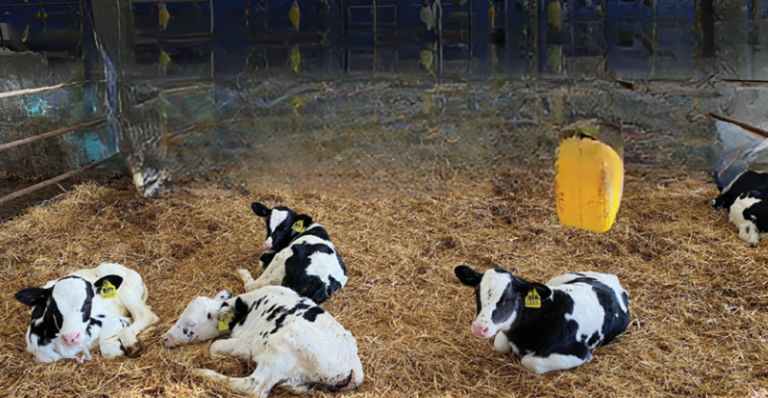 צילום מסך 2026 02 24 172557