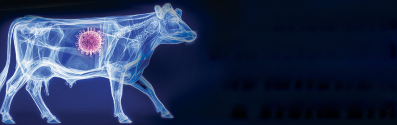 צילום מסך 2026 02 24 173155