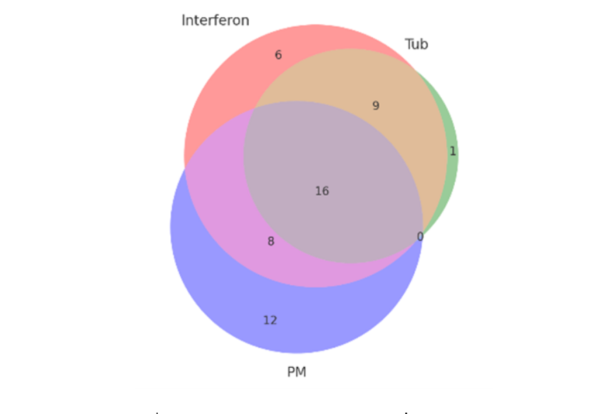 צילום מסך 2026 02 24 173539