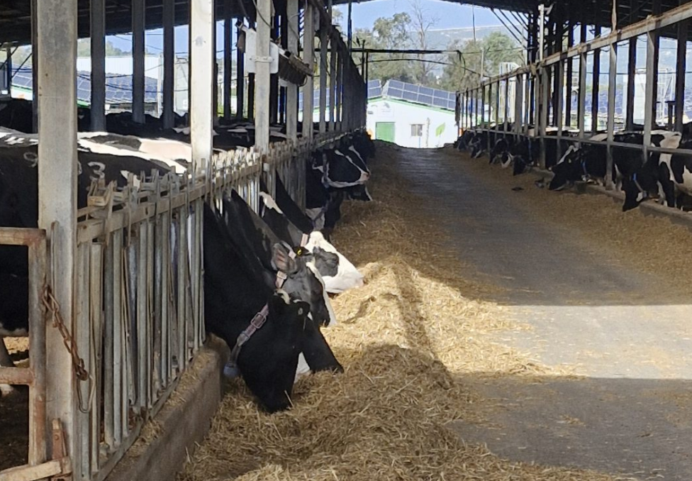 צילום מסך 2026 02 24 183206