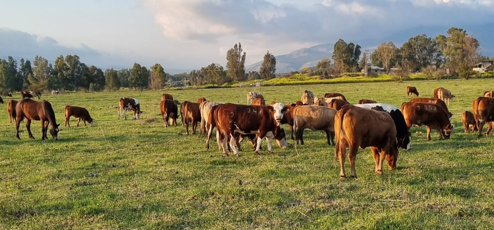 צילום מסך 2026 02 24 191459