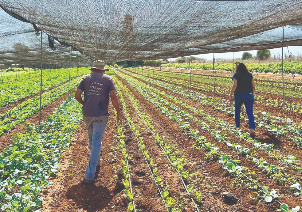 צילום מסך 2026 02 25 114006