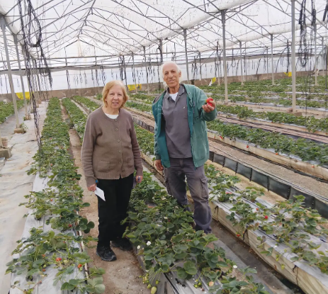 צילום מסך 2026 02 26 185616