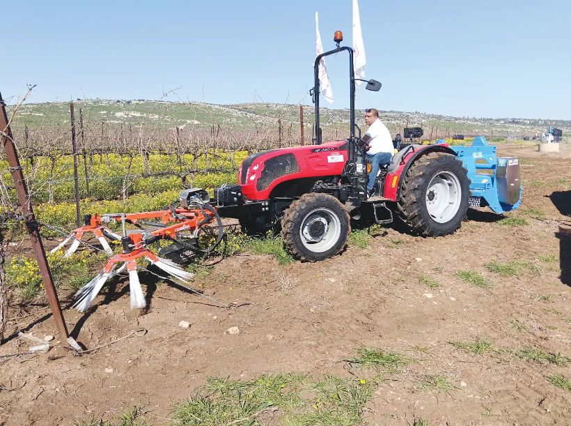 צילום מסך 2026 02 26 185917