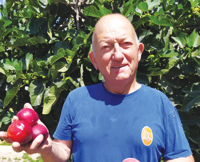 צילום מסך 2026 02 26 203638