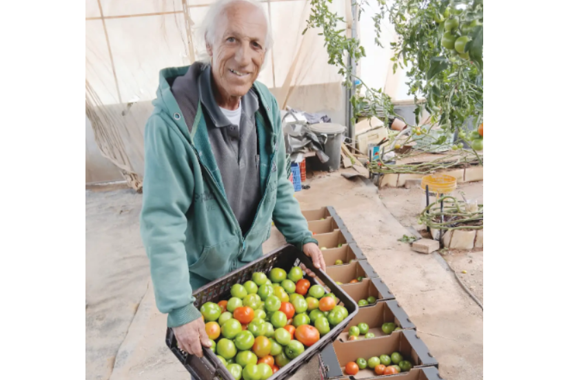 צילום מסך 2026 02 27 133529