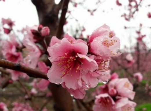 צילום מסך 2026 02 27 142502