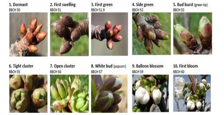 צילום מסך 2026 02 27 143141