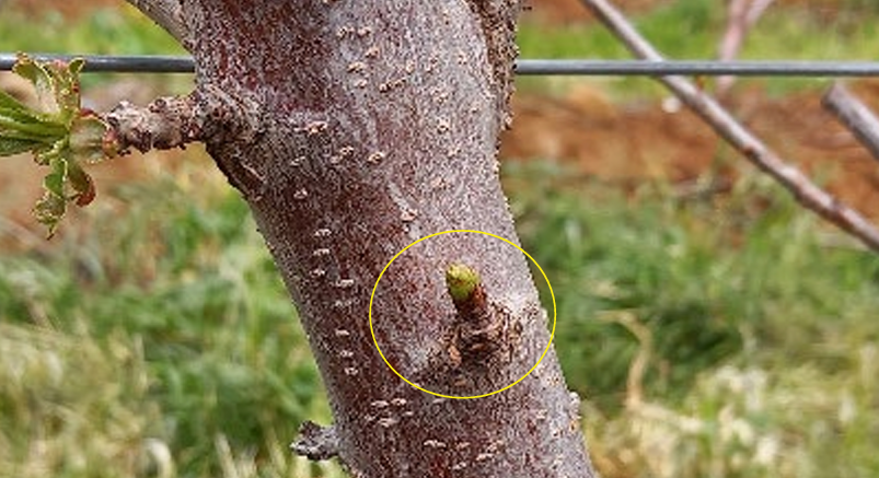 צילום מסך 2026 02 27 143222