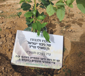 צילום מסך 2026 02 27 183459