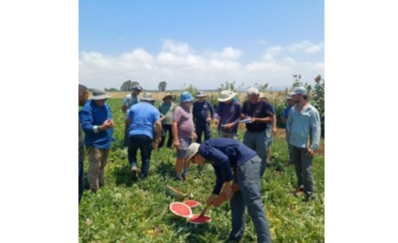 צילום מסך 2026 02 28 110513