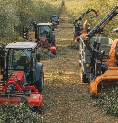 צילום מסך 2026 02 28 110728