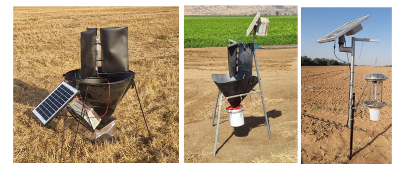 צילום מסך 2026 02 28 122301