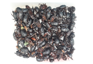 צילום מסך 2026 02 28 122315