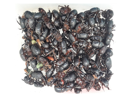 צילום מסך 2026 02 28 122315