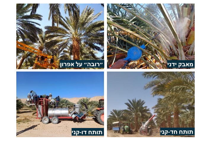 צילום מסך 2026 02 28 191650