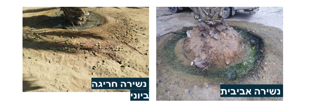 צילום מסך 2026 02 28 191715