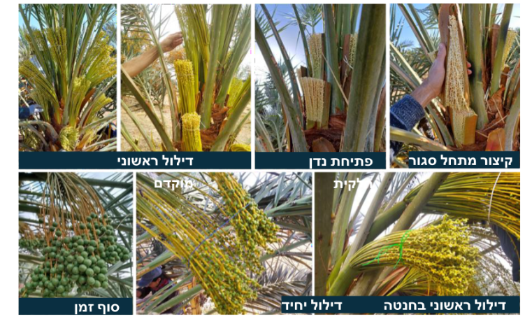 צילום מסך 2026 02 28 191822