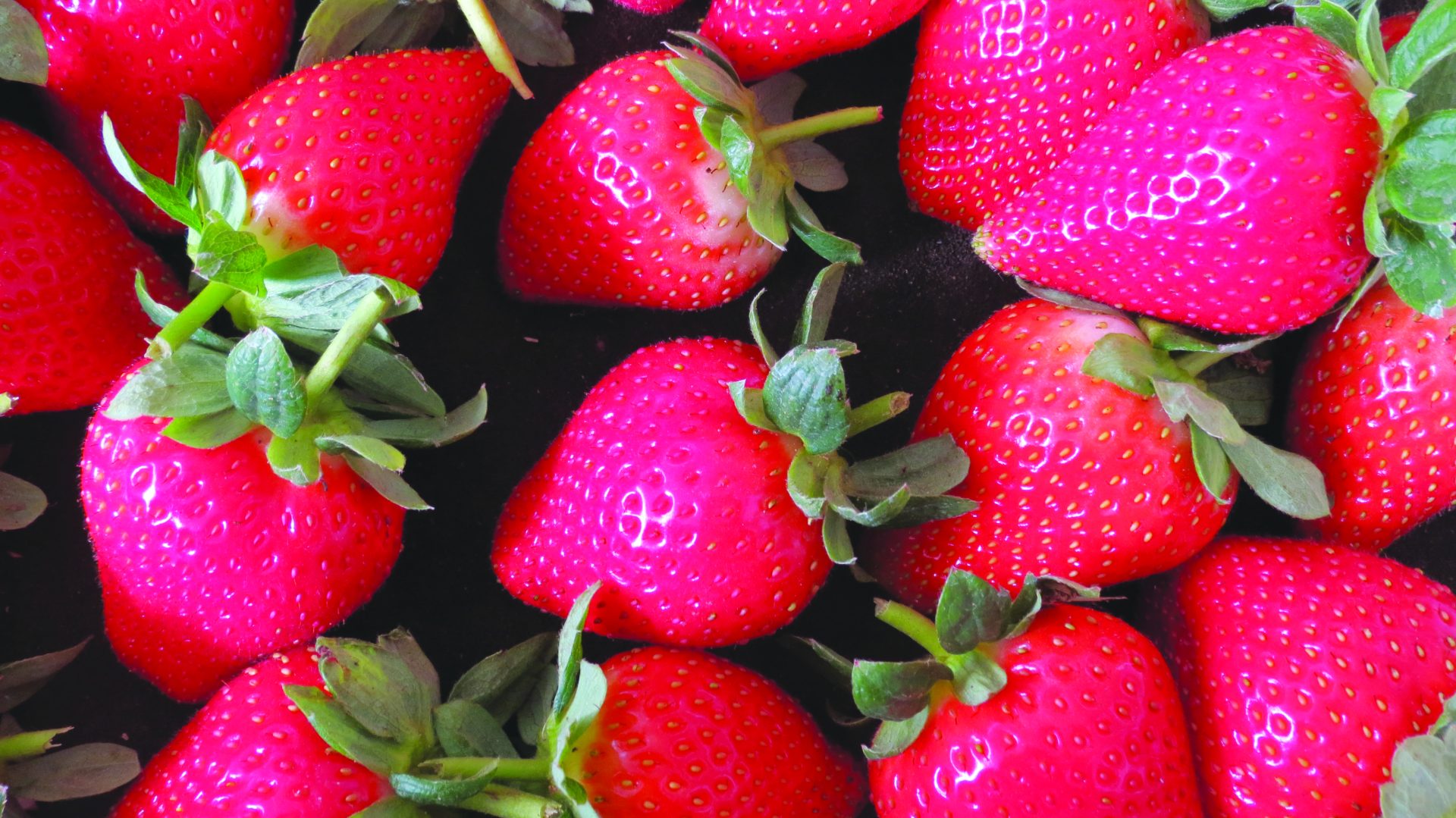 תות שדה לפני אריזה