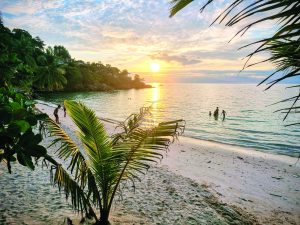 תמונה 1 029b1bbc 4847 465f a6cc a8e56076e776