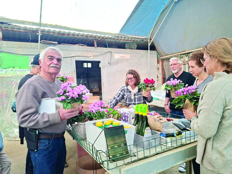 תמונה 1 20260130 143231