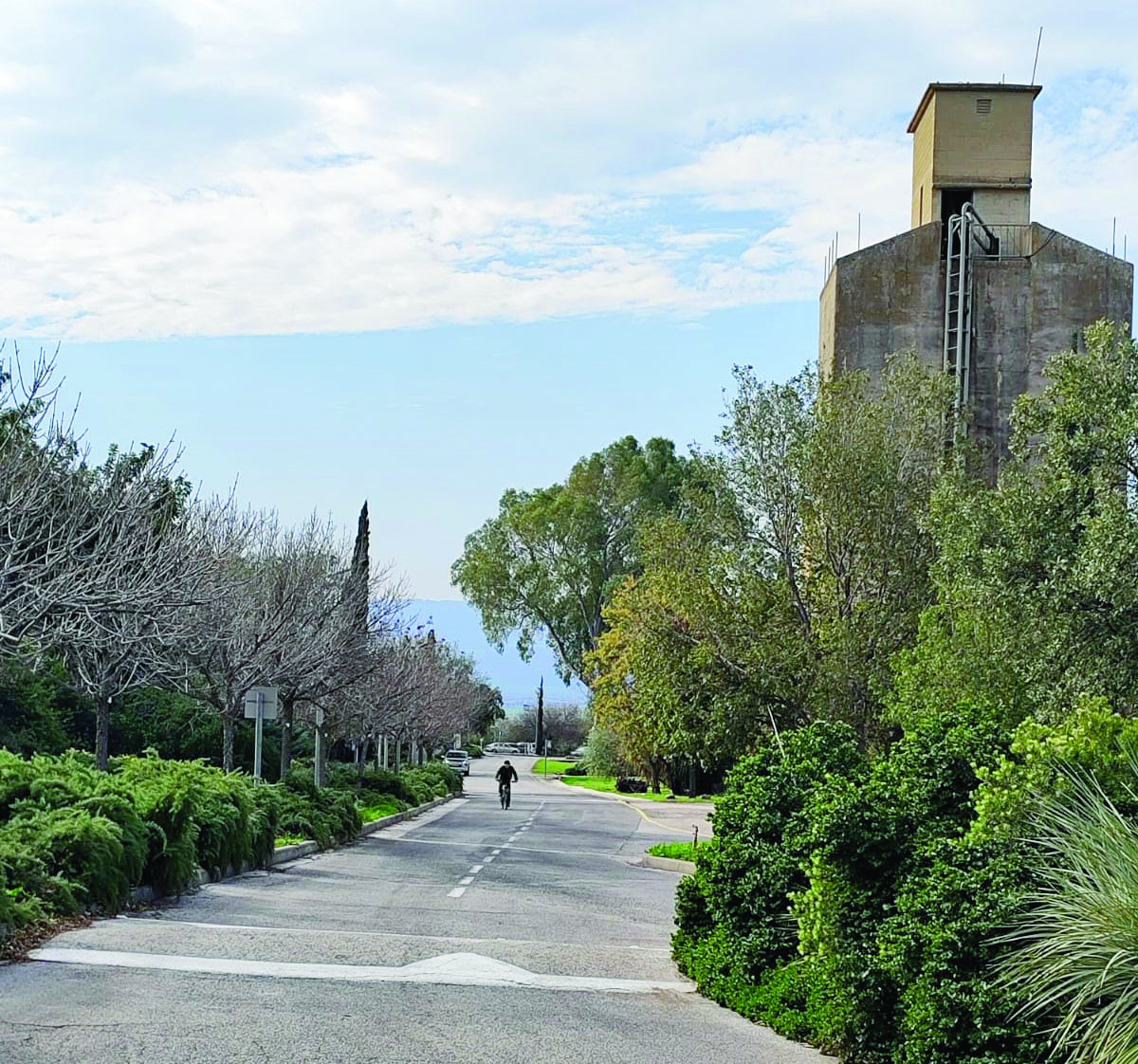 תמונה 1 image 1769687857