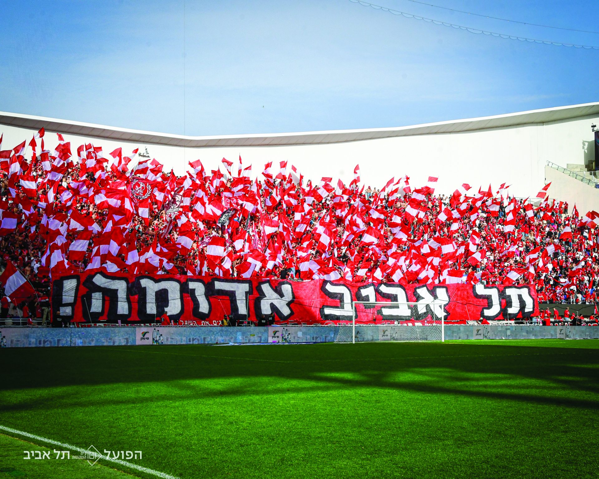 תמונה 2 אוהדי הפועל תל אביב צילום הפועל תל אביב