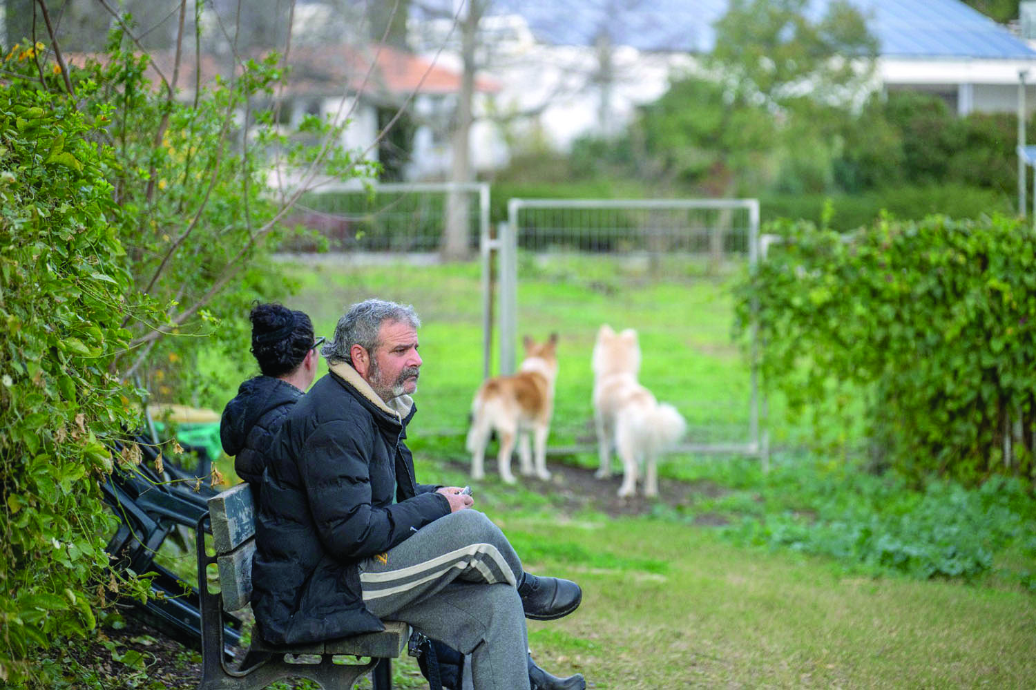 תמונה 3 image 1769938512