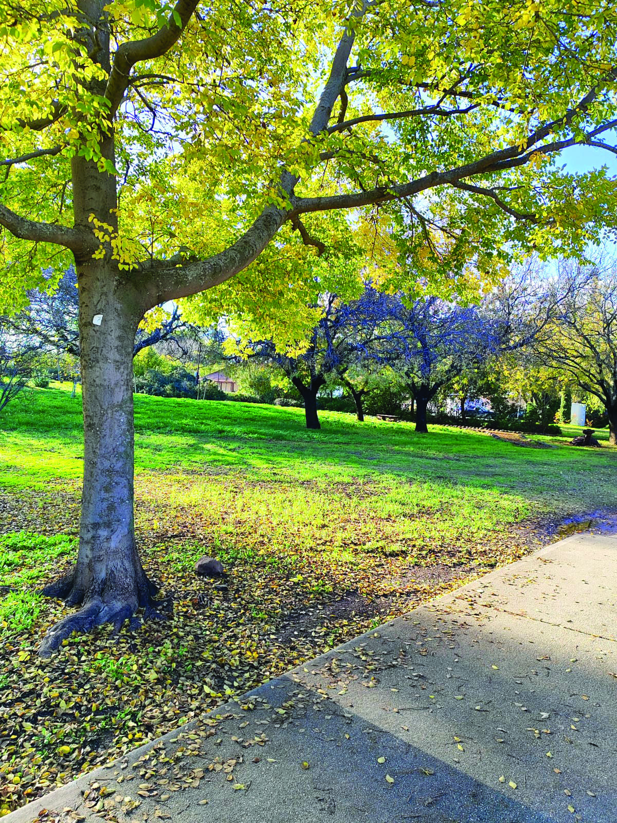 תמונה 4 image 1769688039