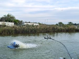 1 ברכות דגים