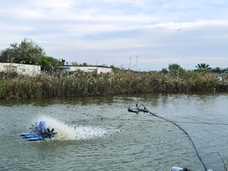 1 ברכות דגים