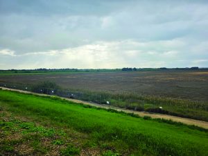 1 גבעת חיים שטח