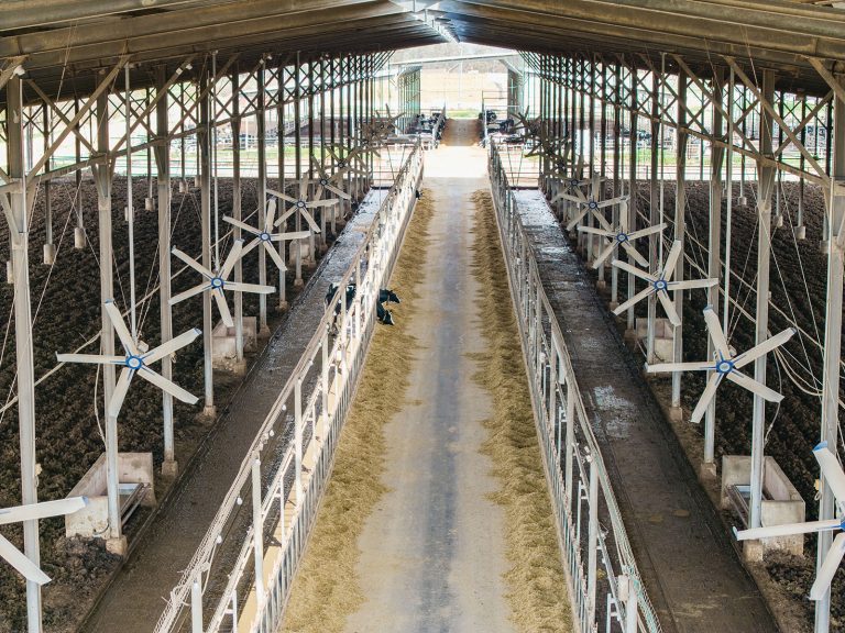 Bulltech March 05, 2025 0107