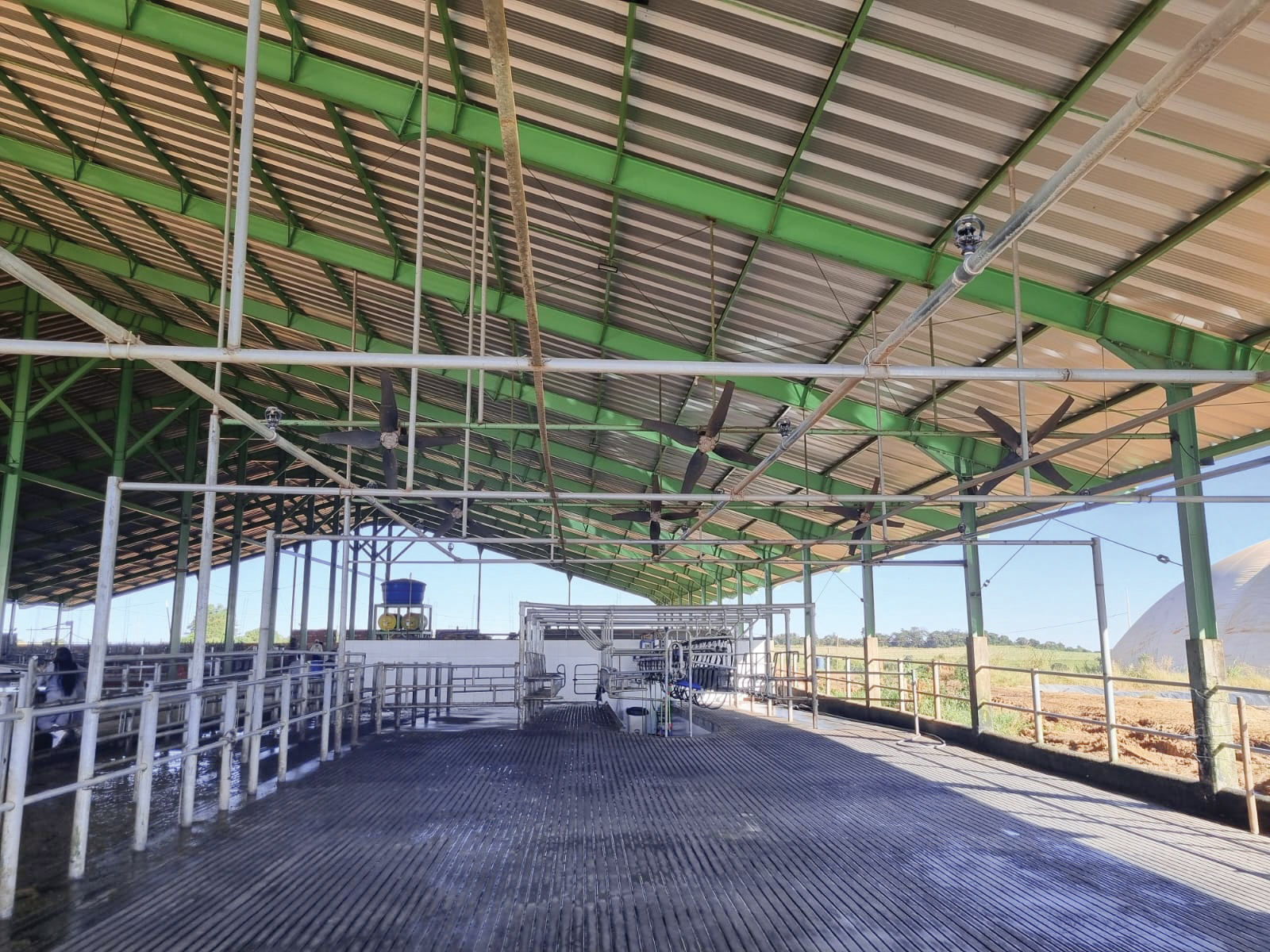 WhatsApp Image 2026 03 19 at 20.17.48