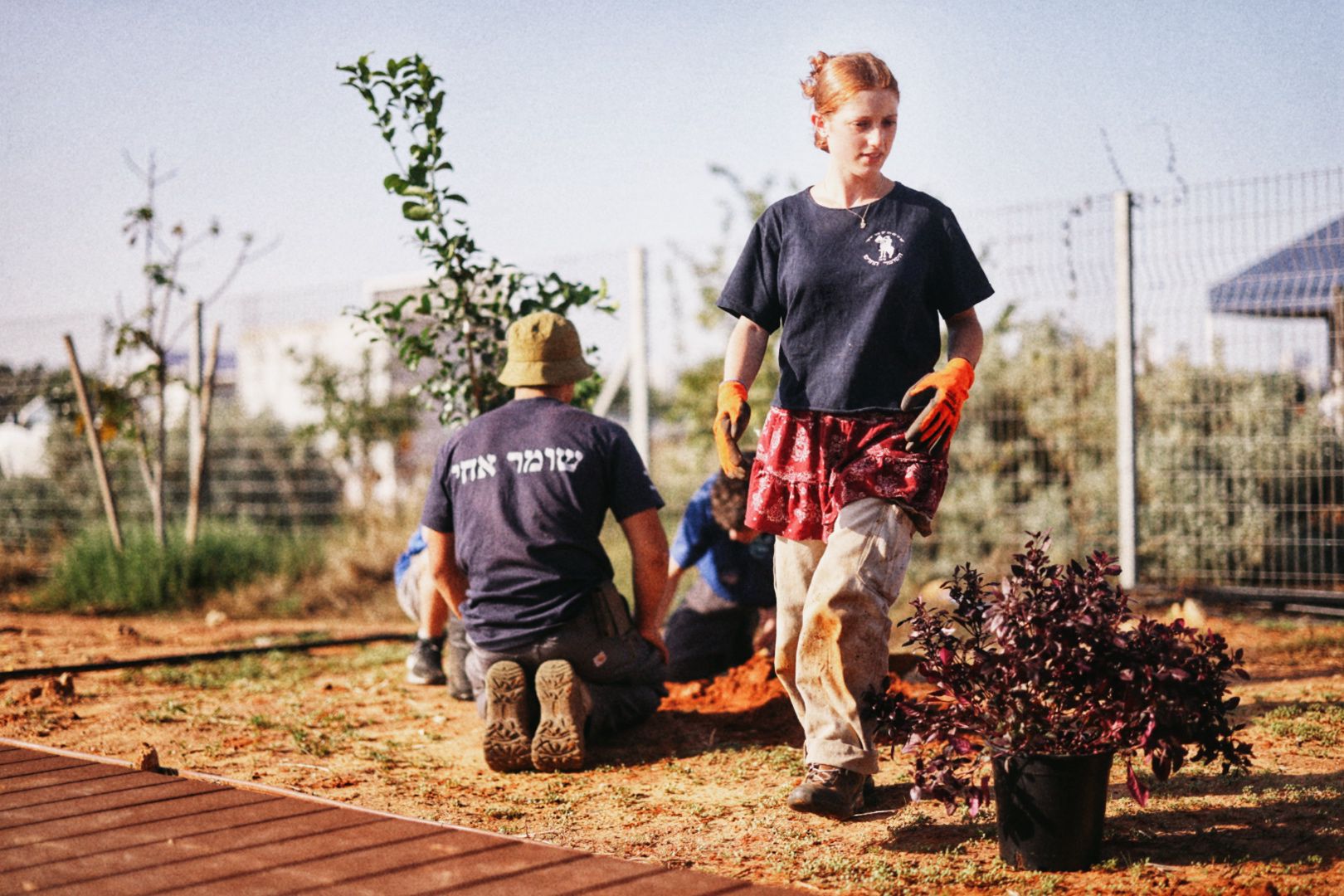 WhatsApp Image 2026 03 24 at 16.26.27 (3)