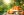 shutterstock 2284868743