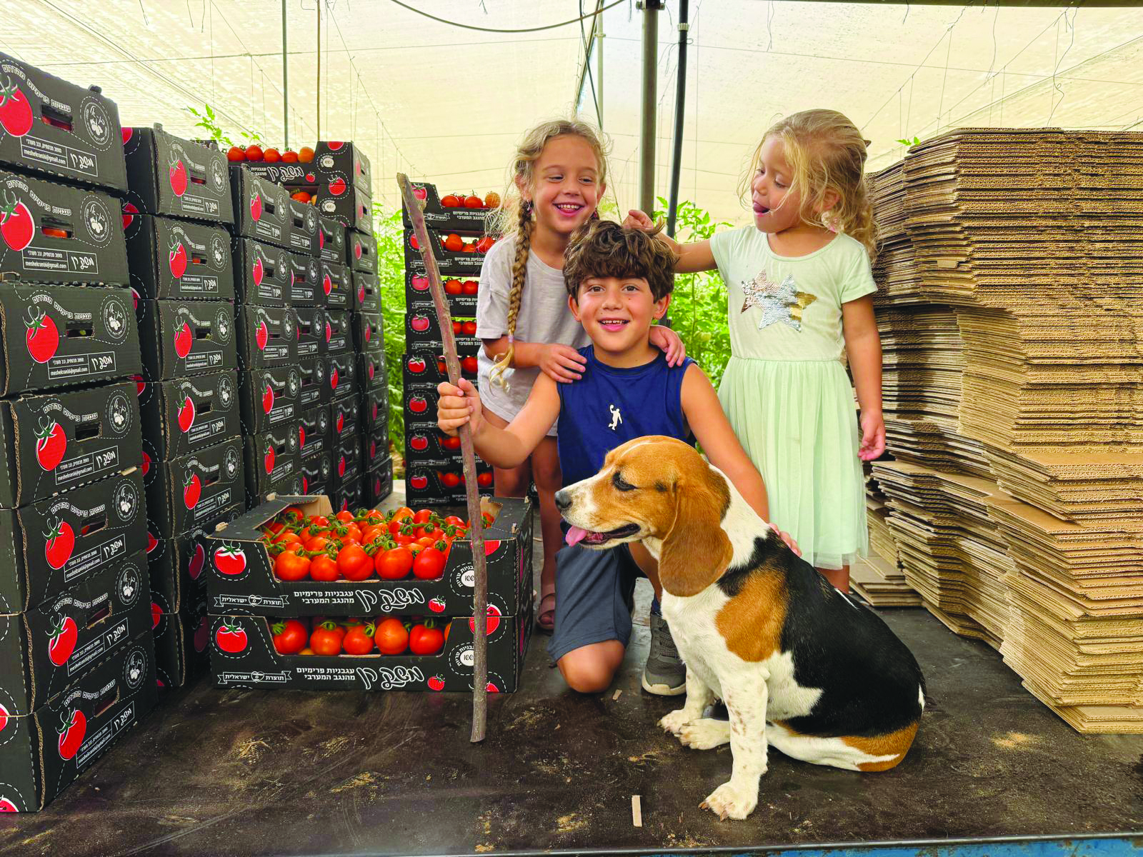 הילדים של רן וטליה אסולין על משק רן שמעתם