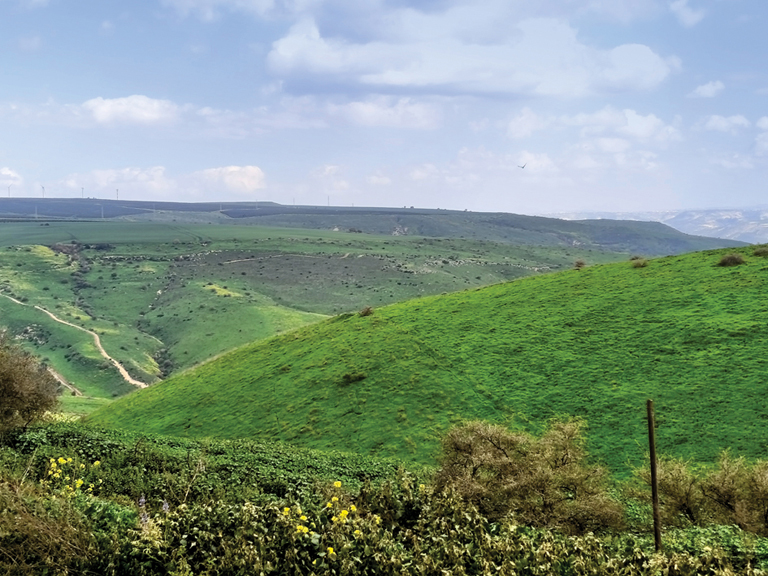 הנוף הנשקף מרפת נופים