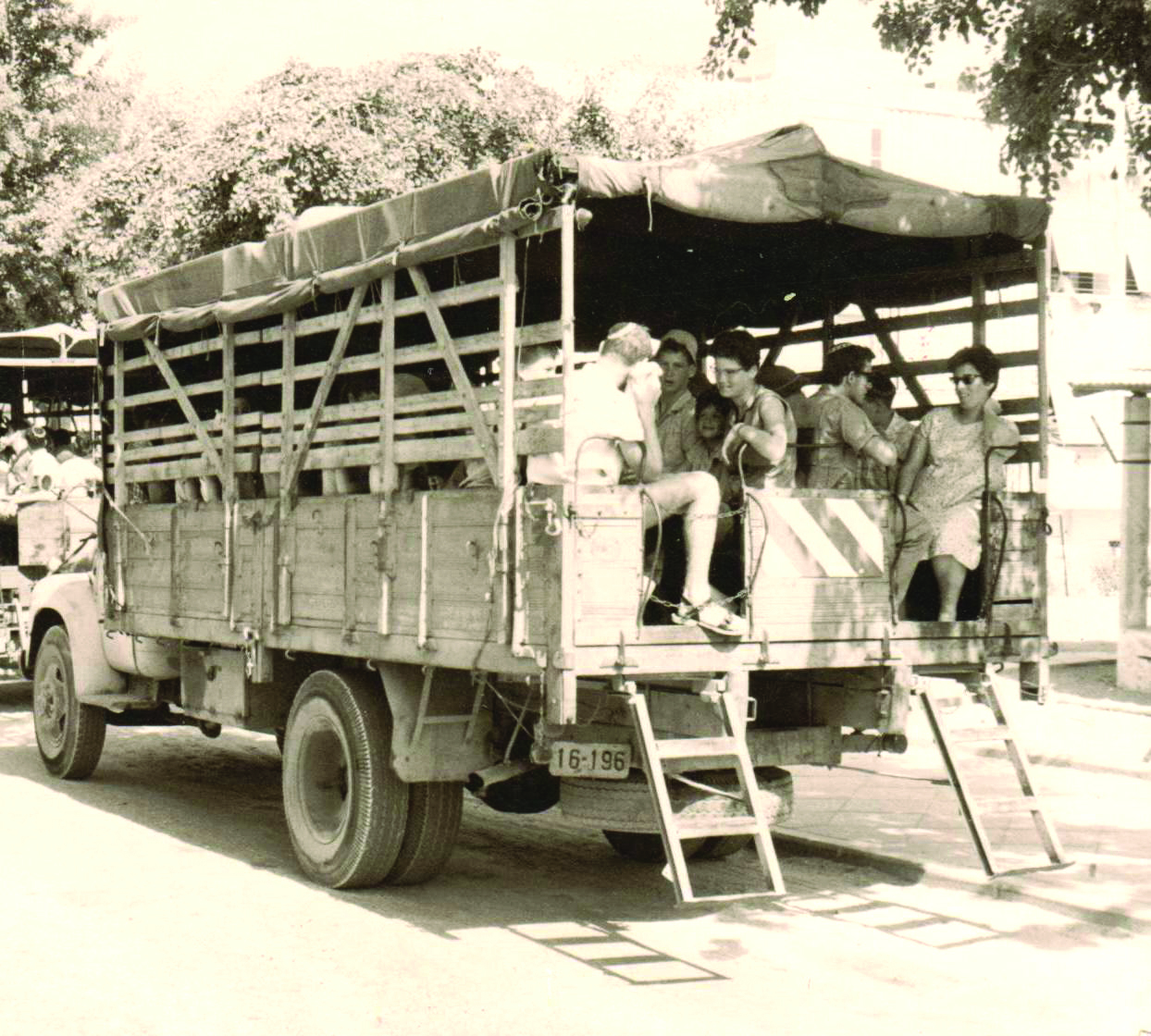 טיולית שמוליק