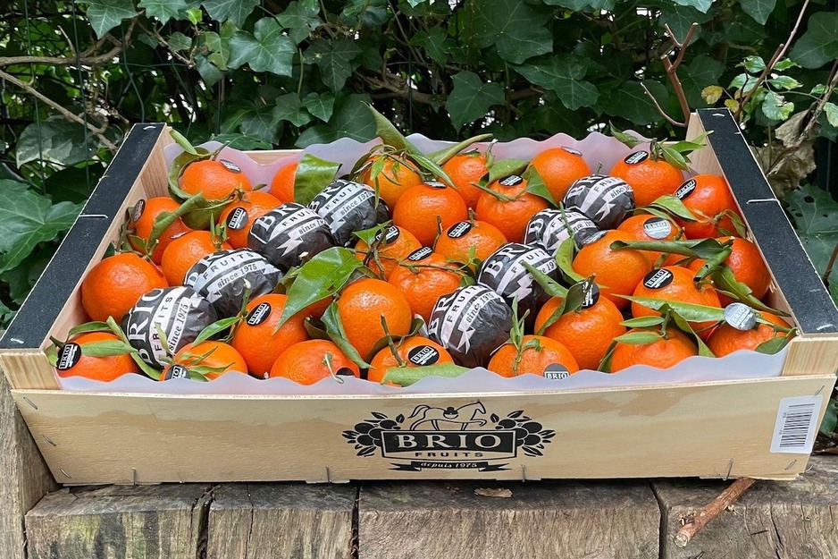 מנדרינות פרימיום של בנגרום הצרפתית