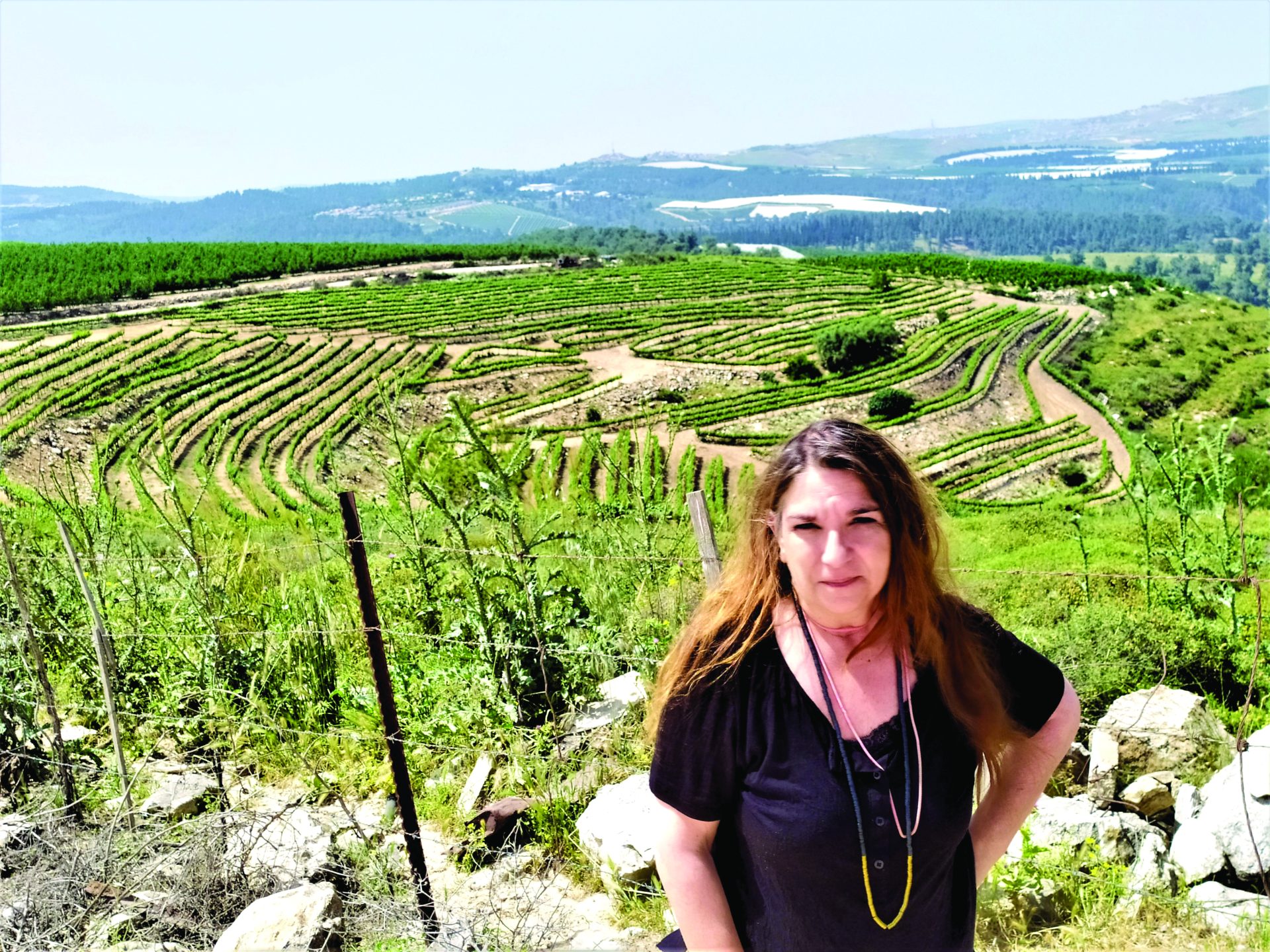 עירית מילס על רקע כרם בכרם בן זמרה כמו בטוסקנה