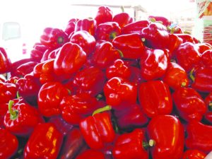 פלפל אדום