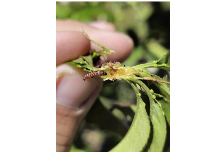 צילום מסך 2026 03 09 213839