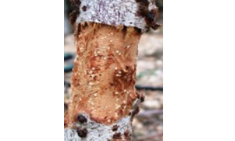 צילום מסך 2026 03 09 213928