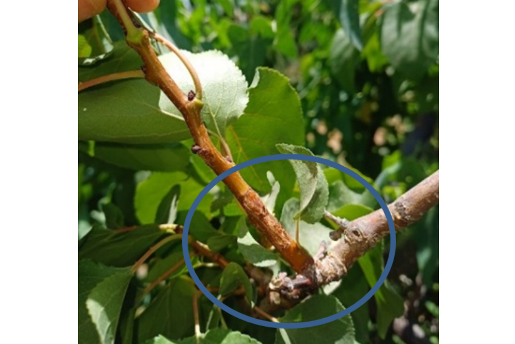 צילום מסך 2026 03 09 215238