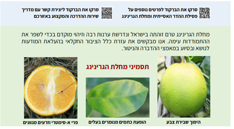 צילום מסך 2026 03 17 115407