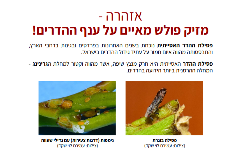 צילום מסך 2026 03 17 130718