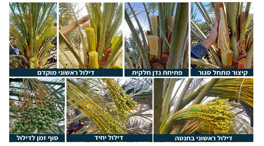 צילום מסך 2026 03 23 204539